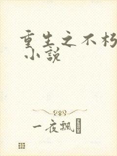 重生之不朽传奇 小说