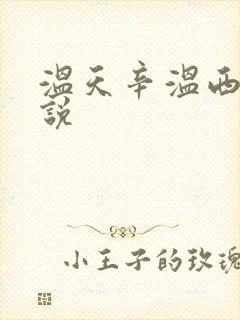 温天辛温西离小说