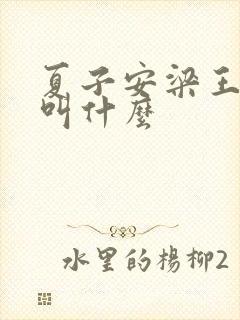 夏子安梁王书名叫什么