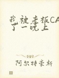 我被老板CAO了一晚上