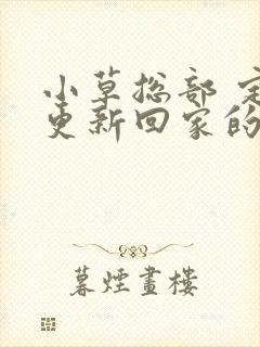 小草总部 定期更新回家的路