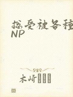 总受被各种姿势NP