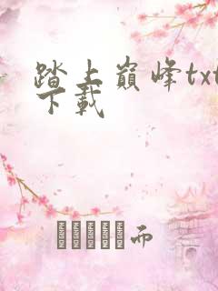 踏上巅峰txt下载