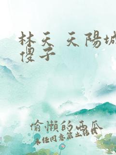 林天 天阳城 傻子
