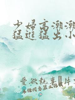 少妇高潮潮喷到猛进猛出小说