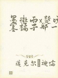 墨微雨x楚晚宁塞橘子哪一章