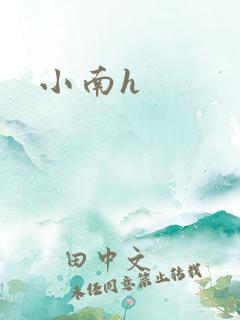 小南h