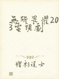 无所畏惧2023电视剧