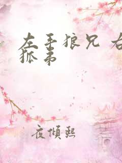 左手狼兄 右手狐弟