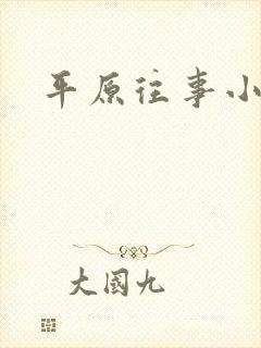 平原往事小说