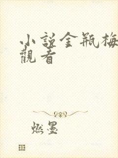 小说金瓶梅在线观看