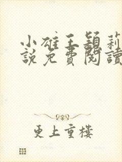 小雄王颖莉的小说免费阅读全文