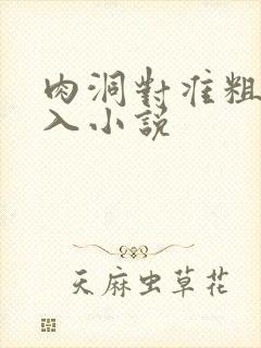 肉洞对准粗大坐入小说