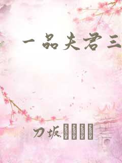 一品夫君三流妻