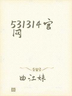 531314官网