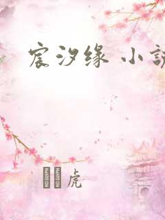 宸汐缘 小说