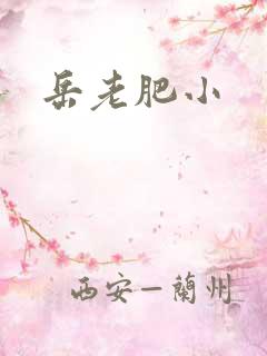 岳老肥小