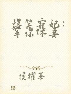 爆笑宠妃：爷我等你休妻