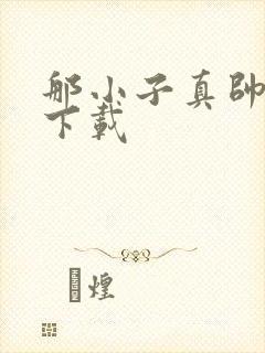 那小子真帅小说下载