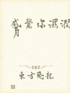 感觉你湿润我四月