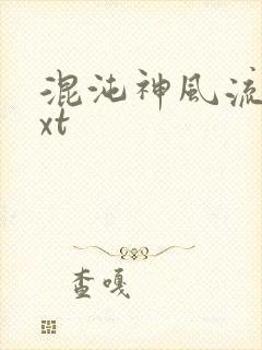 混沌神风流史txt