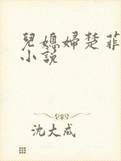 儿媳妇楚菲菲的小说