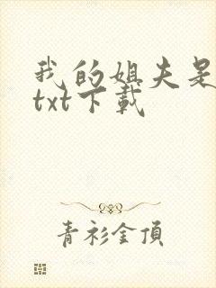 我的姐夫是太子txt下载