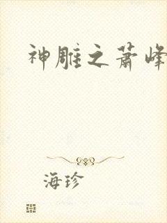 神雕之萧峰后人