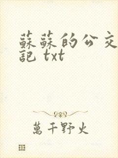 苏苏的公交车日记 txt