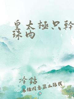 皇太极只干海兰珠肉