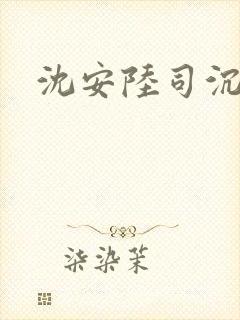 沈安陆司沉小说