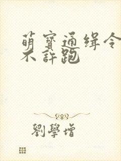 萌宝通缉令妈味不许跑