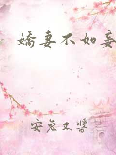 娇妻不如妾