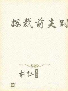 总裁前夫别耍酷