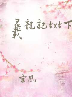 寻龙记txt下载