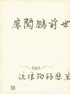 廖阅鹏前世今生