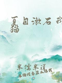 夏目漱石 我是猫