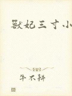 兽妃三寸小狂妻