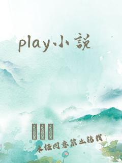 play小说