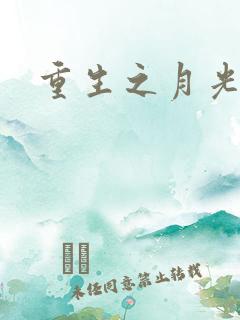 重生之月光少年