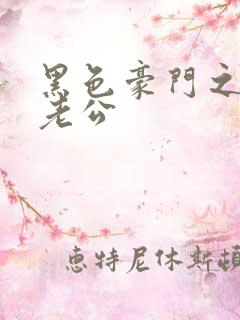 黑色豪门之王子老公