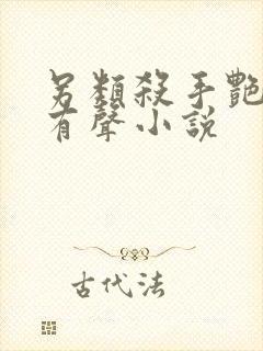 另类杀手艳福星有声小说