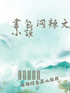 书包网辣文全本小说