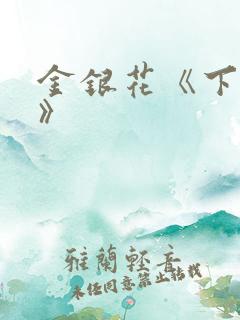 金银花《下厨房》