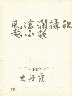 风沧澜摄政王穿越小说