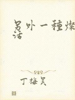 另外一种灿烂生活