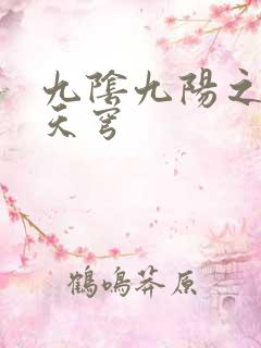 九阴九阳之武战天穹