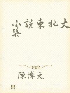 小说东北大炕全集