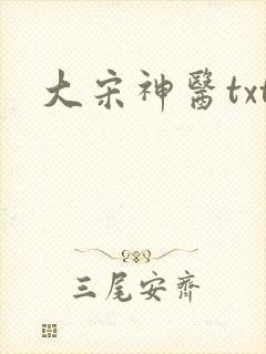 大宋神医txt