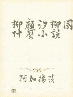 柳颜汐柳国安是什么小说